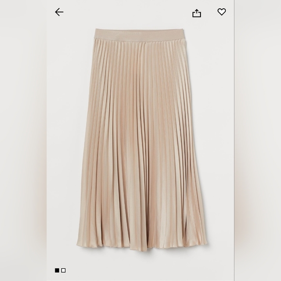 NWT Pleated Skirt - Picture 1 of 5